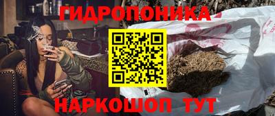 дживик Заводоуковск