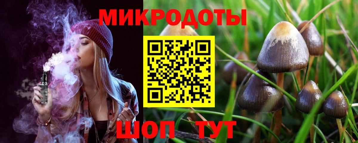 Псилоцибиновые грибы Psilocybine cubensis Ишим